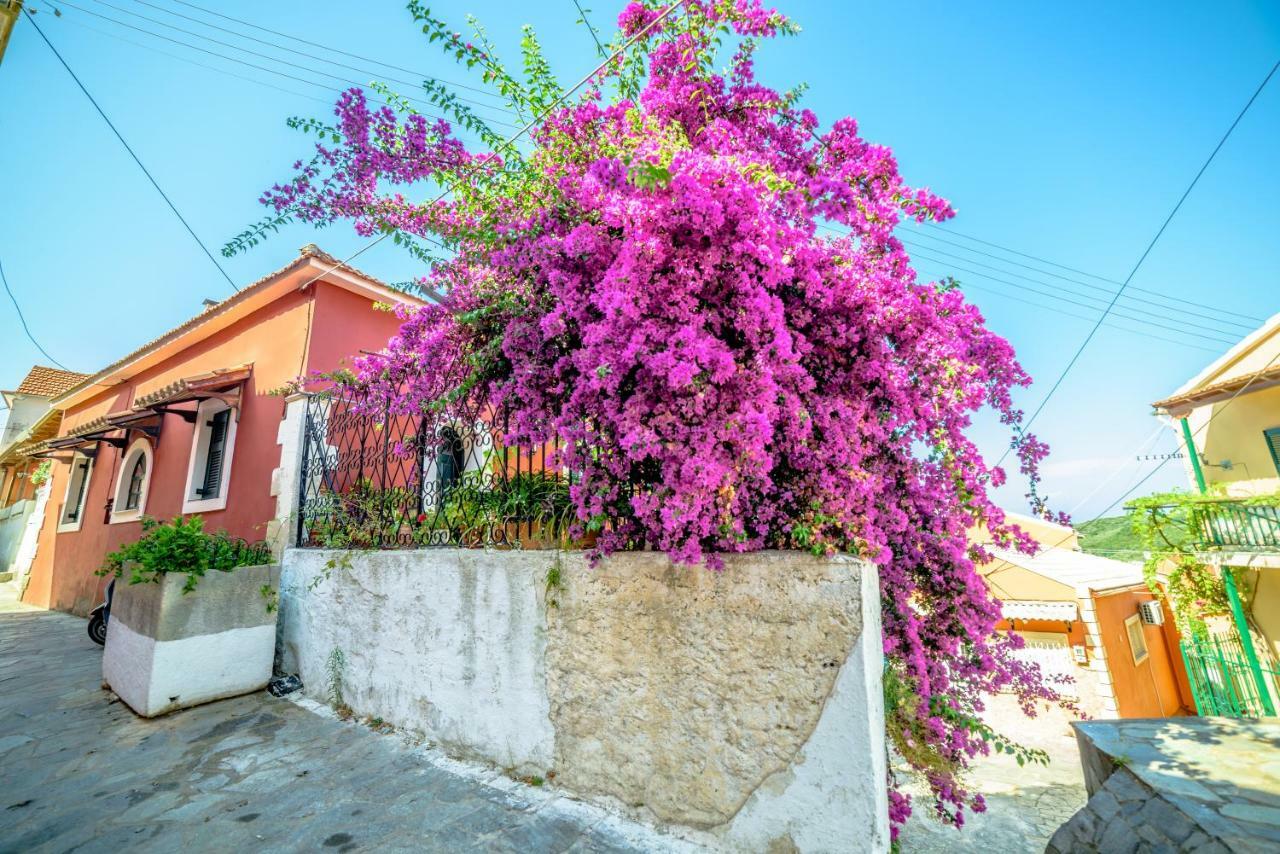 Menecrates Rustic - San Matteo Apartment Agios Matthaios  Exterior photo
